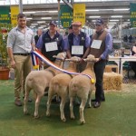 2015 Adelaide Show Interbreed Maternal Group Newbold